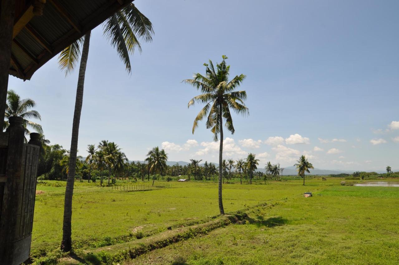 Sunset Homestay By Harry & Mimin Telaga Ngoại thất bức ảnh